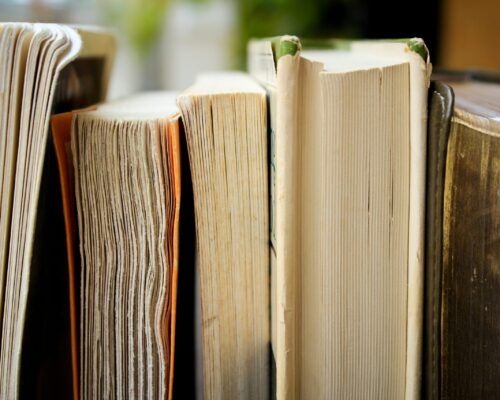 syd-wachs-slItfWbhijc-unsplash